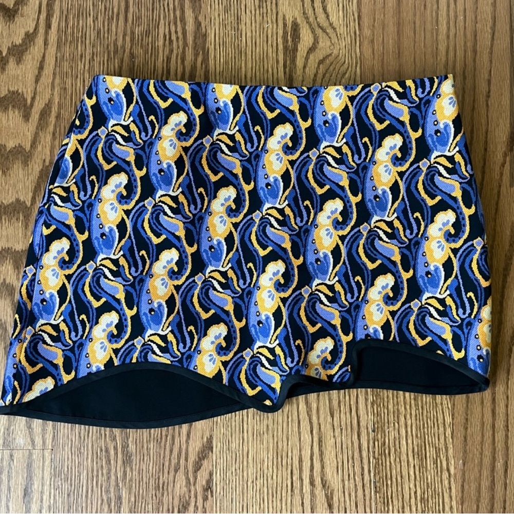 Zara skirt